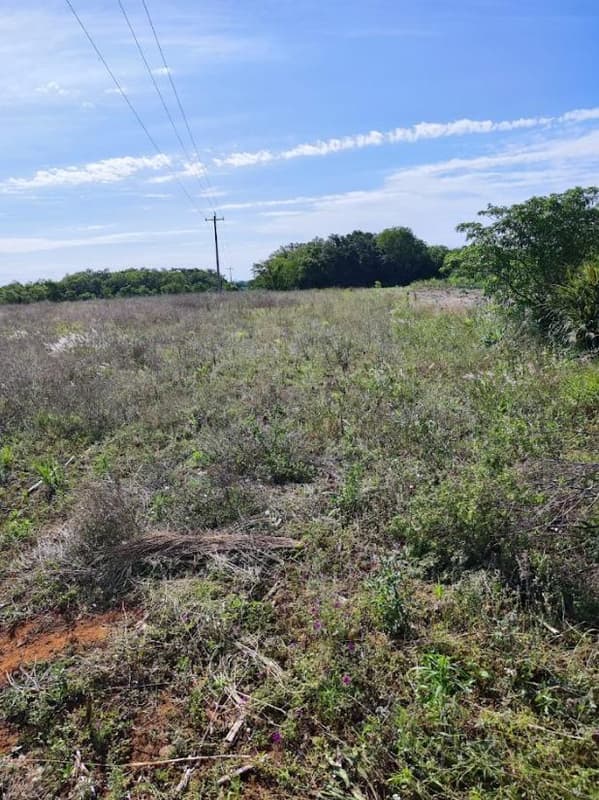 Foto 6 de 12: Area Rural em leilão em Santo Cristo - RS — IMÓVEL RURAL COM ÁREA TOTAL DE 20.250m² - SANTO CRISTO/RS