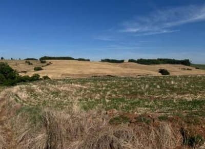 Foto 4 de 5: Area Rural em leilão em São José Das Missões - RS — IMÓVEL RURAL COM ÁREA ÚTIL 33.117,00m² EM SÃO JOSÉ DAS MISSÕES-RS