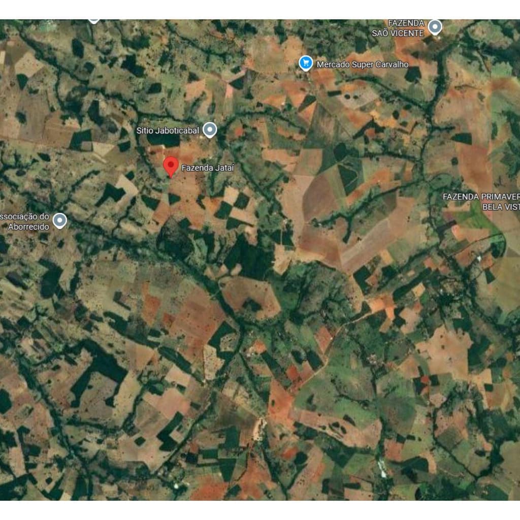Foto 3 de 3: Area Rural em leilão em Bela Vista De Goiás - GO — IMÓVEL RURAL COM ÁREA TOTAL 24,2421 HECTARES- Em GOIÁS/GO
