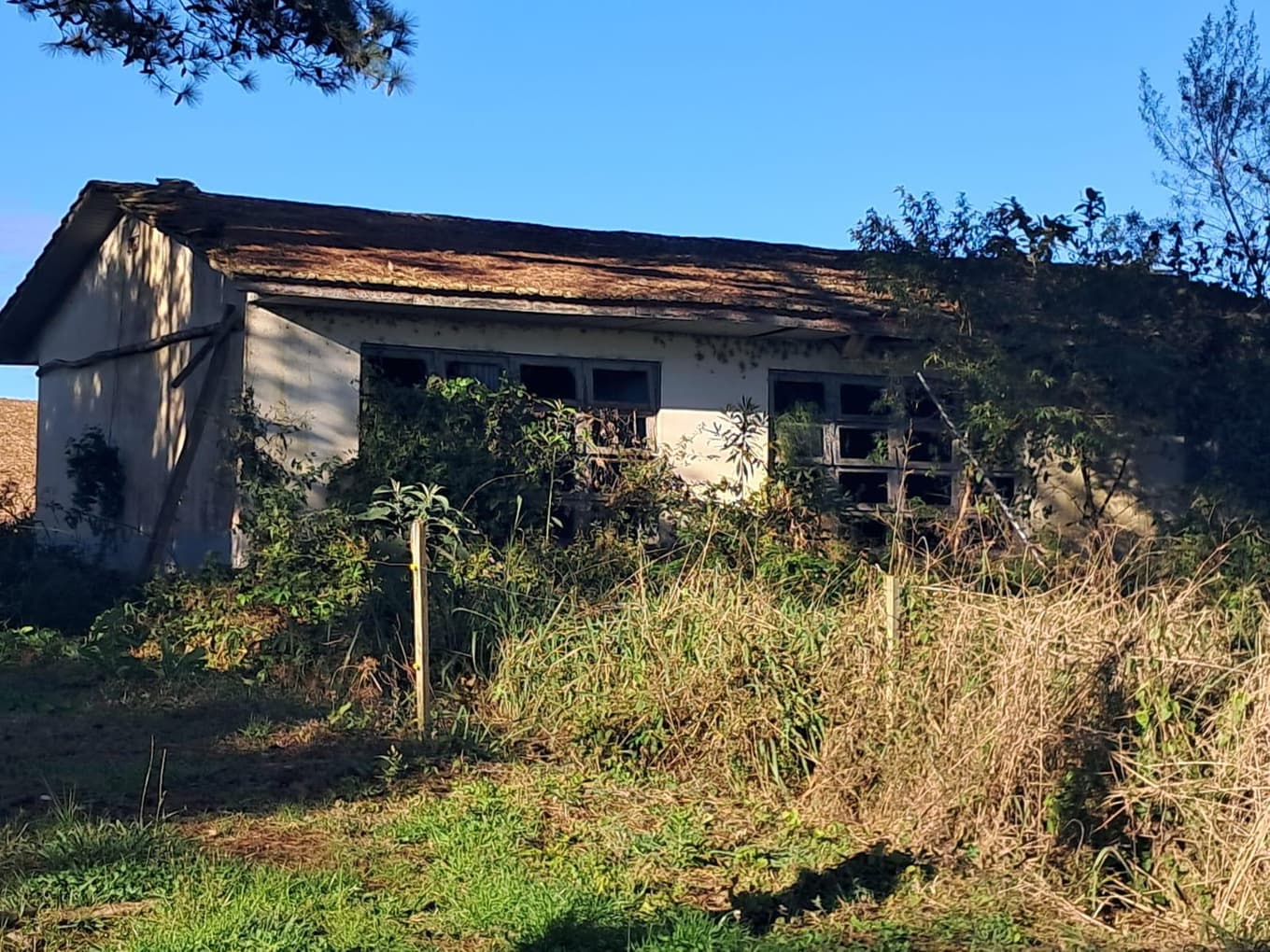 Foto 3 de 9: Terreno em leilão em Imbuia - SC — TERRENO RURAL COM ÁREA DE 974,40M² LOCALIZADO EM IMBUIA/SC