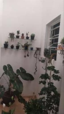 Foto 6 de 9: Casa em leilão em Passa Tempo - MG — Casa 69m² | Passa Tempo-MG | Geraldo Lara I | Oportunidade - Próx. à Rod. MG-270 - Financiamento até 420 Meses!