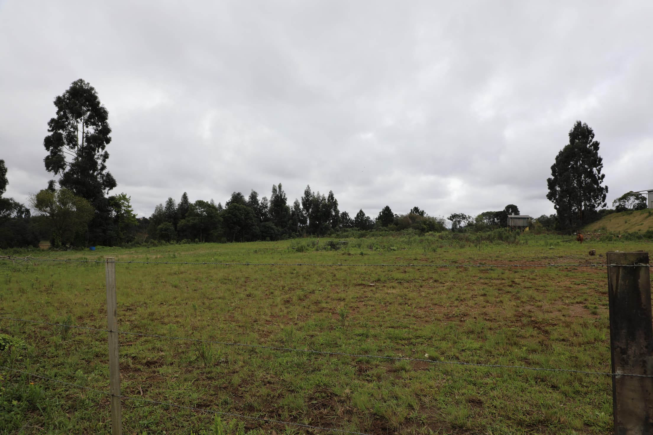 Foto 13 de 17: Terreno em leilão em Curitibanos - SC — IMÓVEL LOCALIZADO NA RUA ROMUALDO SCUR, ÁREA INDUSTRIAL RENATO FARIAS, MUNICÍPIO DE CURITIBANOS-SC COM A ÁREA DE 10.043,92M²