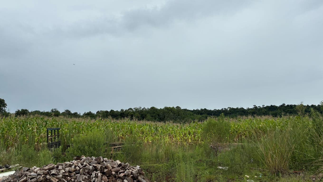 Foto 3 de 5: Area Rural em leilão em São José Do Inhacorá - RS — IMÓVEL RURAL COM ÁREA DE 9.00 HA EM SÃO JOSÉ DO INHACORÁ