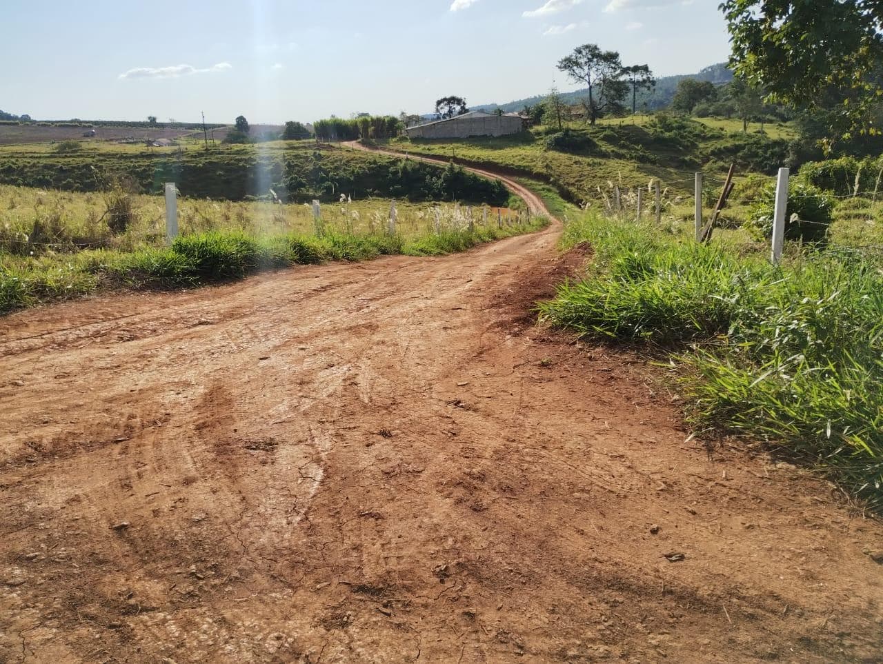 Foto 11 de 24: Area Rural em leilão em São Jerônimo Da Serra - PR — Área rural com área de 35,53 hectares - São Jerônimo da Serra/PR.