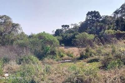 Foto 4 de 7: Terreno em leilão em Irati - PR — Terreno urbano denominado Lote R, com área de 78.571,17m². Localizado em Irati/PR.