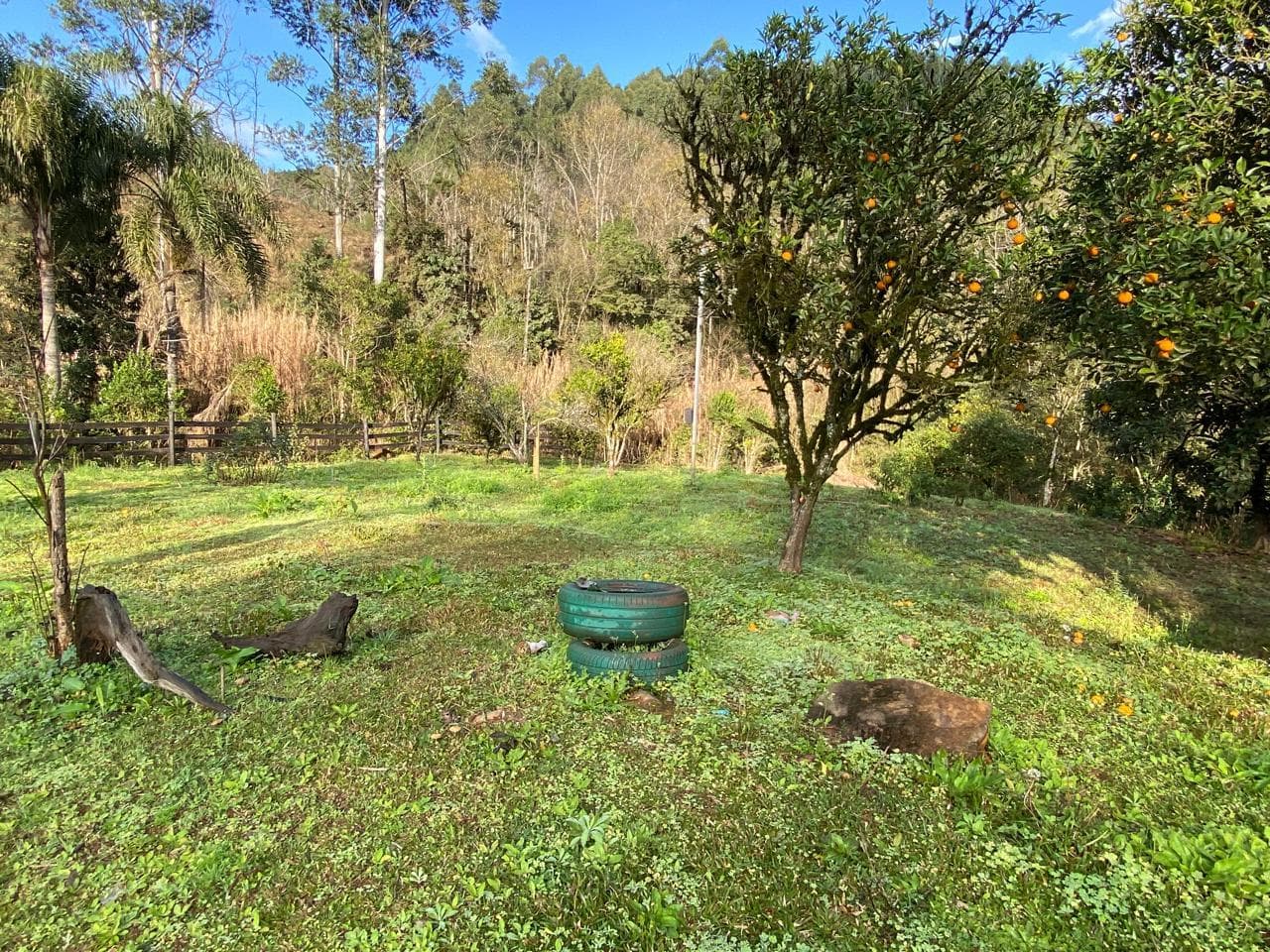 Foto 17 de 23: Terreno em leilão em Concórdia - SC — IMÓVEL RURAL COM ÁREA TOTAL DE 11.005,95m2, EM CONCÓRDIA-SC