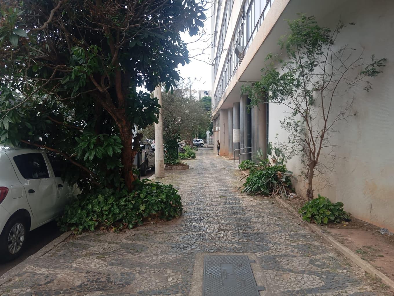 Foto 5 de 8: Comercial em leilão em Belo Horizonte - MG, bairro Floresta — Imóvel Comercial 4.540m² EM DESOCUPAÇÃO no Bairro Floresta em Belo Horizonte/MG