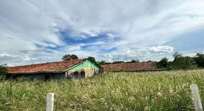 Foto 8 de 40: Area Rural em leilão em Marechal Cândido Rondon - PR — Parte ideal de 55.265,69 m² do Lote Rural 05/A do 19º Perímetro da Fazenda Britânia, situado neste município e comarca de Marechal Candido Rondon/PR