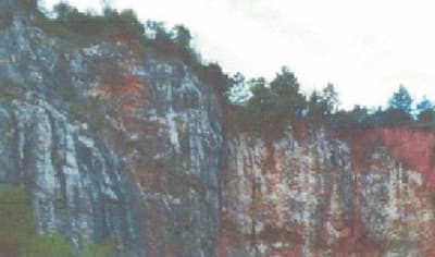 Foto 6 de 8: Area Rural em leilão em Bom Sucesso De Itararé - SP — Imóvel rural, A.T. 7,26 ha, Bairro Bom Sucesso, Sítio Ferraz