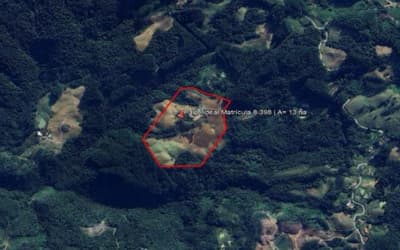 Foto 3 de 15: Terreno em leilão em Vidal Ramos - SC, bairro Área Rural — IMÓVEL RURARL COM ÁREA TOTAL DE 13.000 ha,- Em VIDAL RAMOS/SC