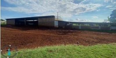 Foto 5 de 8: Area Rural em leilão em Nova Olímpia - MT — IMÓVEL RURAL - "FAZENDA IBIPORÃO I - 140HA, NOVA OLÍMPIA/MT - EXPLORAÇÃO DE PECURÁRIA
