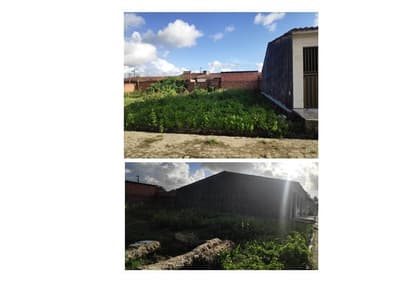 Foto 4 de 4: Terreno em leilão em Capela - SE — TERRENO NA CIDADE DE CAPELA/SE