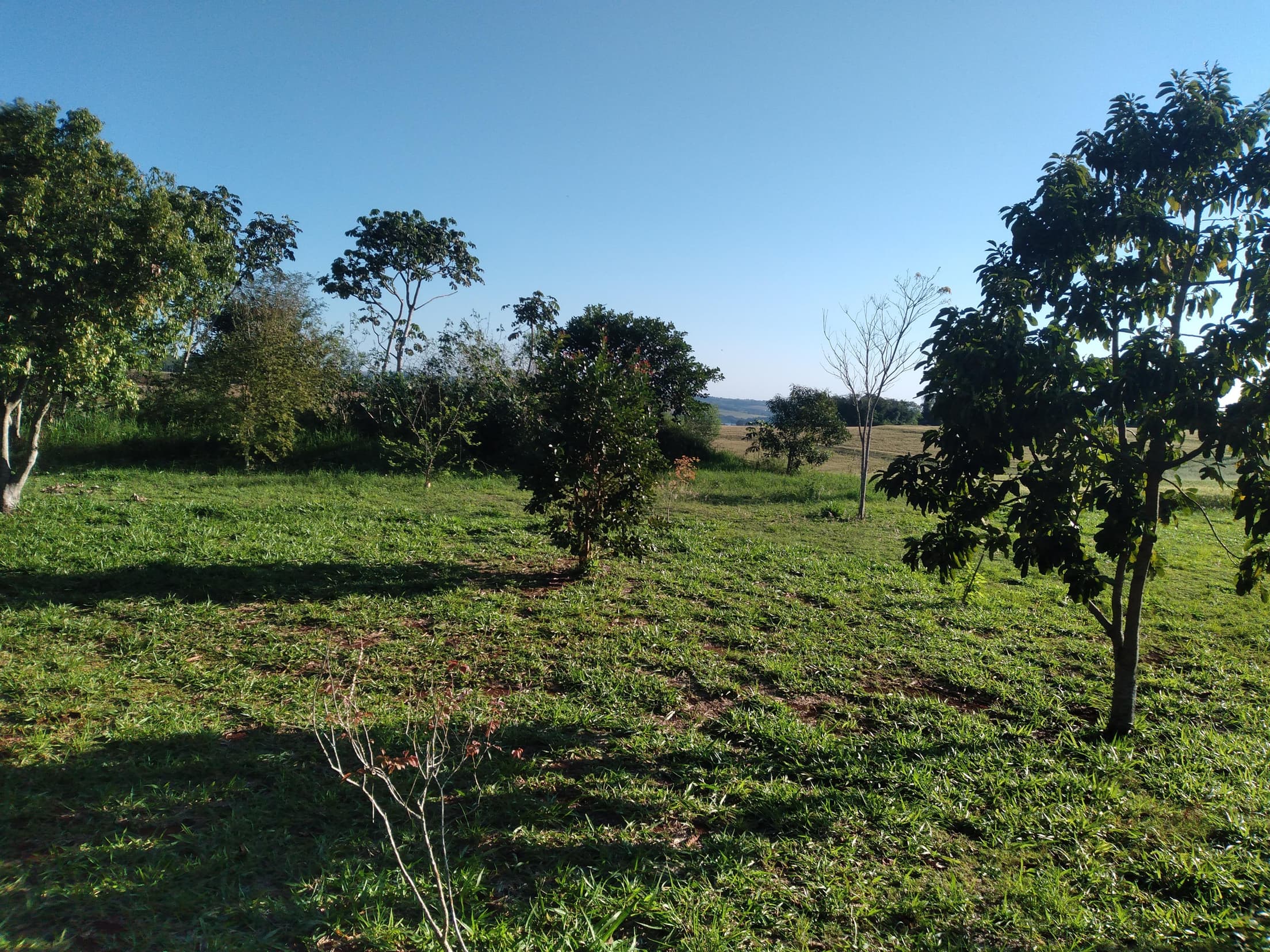 Foto 15 de 41: Area Rural em leilão em Capitão Leônidas Marques - PR — Gleba Urbana Desocupada 27.837m2 no Bairro São Gabriel em Capitão Leonidas Marques/PR