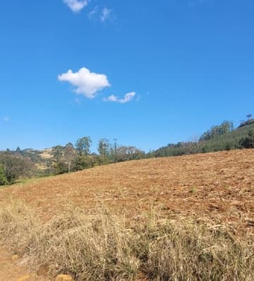 Foto 3 de 8: Area Rural em leilão em Anchieta - SC — Lote Rural 72.600m² Desocupado em Anchieta/SC