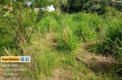 Foto 3 de 5: Terreno em leilão em Ibirama - SC, bairro Dalbérgia — IMÓVEL URBANO COM ÁREA TOTAL DE 360.450 m2- Em IBIRAMA/SC