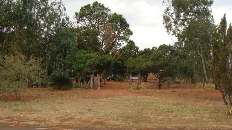 Foto 1 de 7: Area Rural em leilão em Presidente Epitácio - SP — GLEBA DE TERRAS, com a área de 16,1673 has