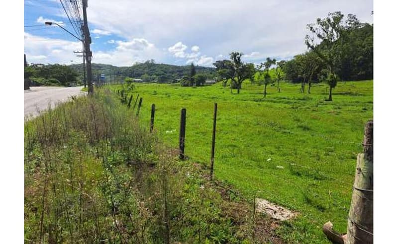 Foto 4 de 5: Terreno em leilão em Blumenau - SC — Imóvel urbano com área total de 782,59m² em Blumenau/SC
