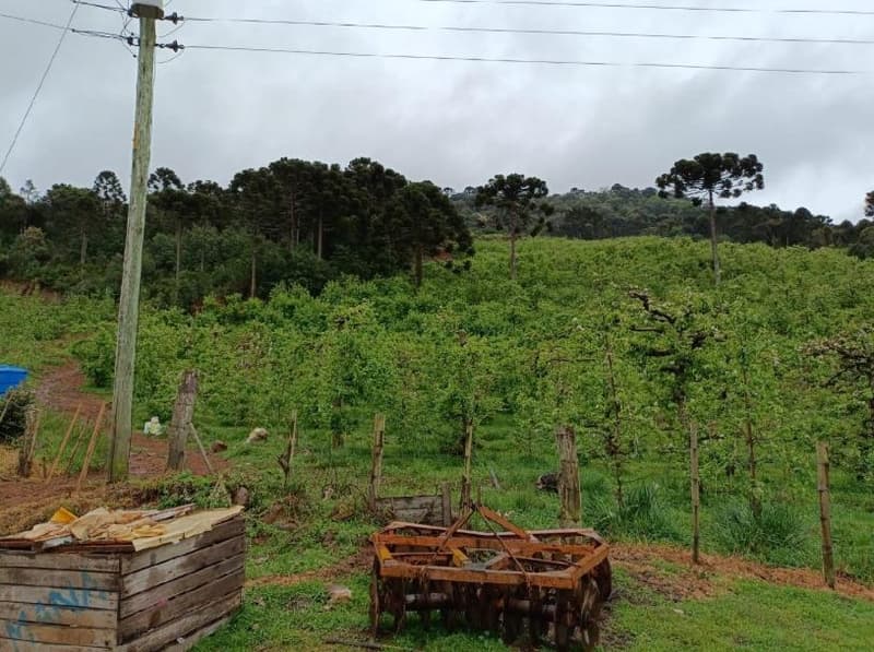 Foto 9 de 16: Area Rural em leilão em São Joaquim - SC — IMÓVEL RURAL COM ÁREA SUPERFICIAL DE 67.085,02 m² EM SÃO JOAQUIM-SC