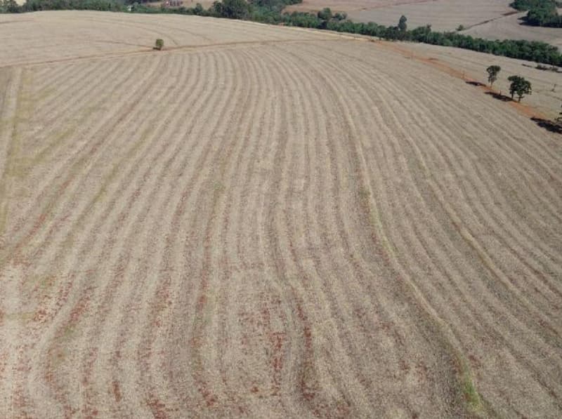 Foto 3 de 3: Area Rural em leilão em Nova Cantu - PR — IMÓVEL RURAL COM ÁREA DE 15.48ha - Em NOVA CANTU