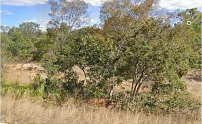 Foto 10 de 10: Area Rural em leilão em Santa Maria Da Vitória - BA — IMÓVEL RURAL COM ARE DE 922,9189 HECTARES, SANTA MARIA DA VITÓRIA/BAHIA
