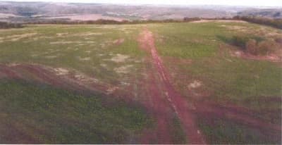 Foto 7 de 7: Area Rural em leilão em Bandeirantes - MS — IMÓVEL RURAL | A.T. 187,0323HA FAZ. VÓ BINA E ALIANÇA | BANDEIRANTES/MS