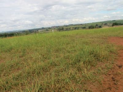 Foto 17 de 18: Area Rural em leilão em Arealva - SP, bairro Marilândia — Gleba, 2ha, A.C. 476m², 2 casas, piscina, salão, pastagem, Fazenda Soturna