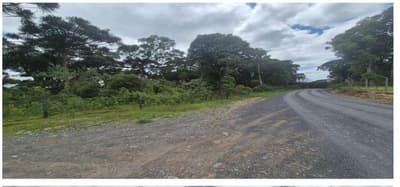 Foto 6 de 8: Terreno em leilão em São João Do Triunfo - PR — Terreno rural com área de 537.240,00m² , contendo 02 casa e dois galpões, situado na Localidade de Pinhalzinho, São João do Triunfo/PR