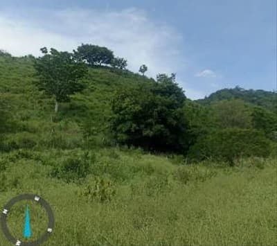 Foto 3 de 6: Area Rural em leilão em Bodoquena - MS — IMÓVEL RURAL | A.T. 12,4977HA - SITIO BARRO PRETO LOTE 68 | COLÔNIA CANAÃ | BODOQUENA/MS