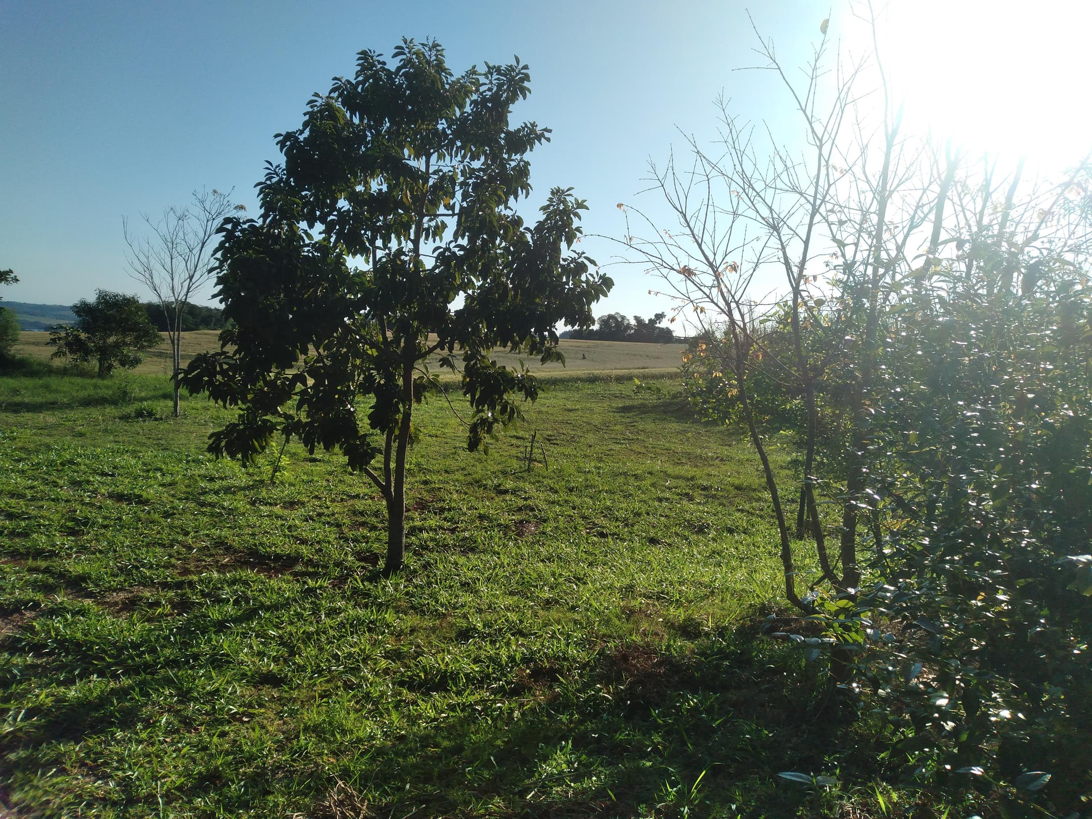 Foto 35 de 41: Area Rural em leilão em Capitão Leônidas Marques - PR — Gleba Urbana Desocupada 27.837m2 no Bairro São Gabriel em Capitão Leonidas Marques/PR