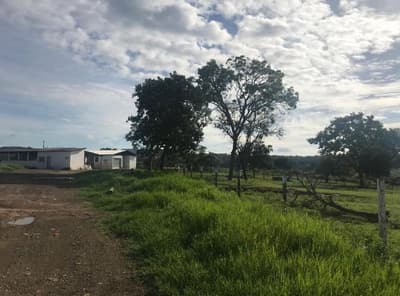 Foto 8 de 14: Comercial em leilão em Posse - GO — IMÓVEIS RESIDENCIAL, COMERCIAL E RURAL | POSSE/GO