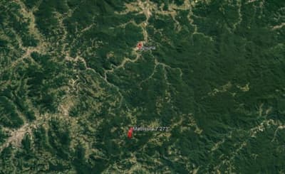 Foto 4 de 16: Terreno em leilão em Apiúna - SC, bairro São Jorge — IMÓVEL RURAL COM ÁREA TOTAL DE 21,291 ha- Em APIÚNA/SC