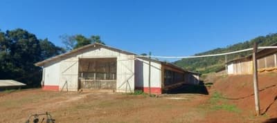 Foto 9 de 13: Area Rural em leilão em Chapecó - SC — IMÓVEL RURAL COM ÁREA DE 27.702,25m2, EM CHAPECÓ/SC
