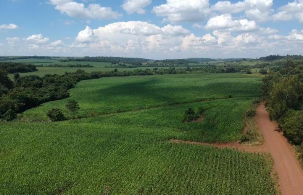 Area Rural em leilão em Mercedes - PR, bairro Fazenda Britânia — IMÓVEL RURAL COM ÁREA DE 70.050 m2- Em MERCEDES/PR
