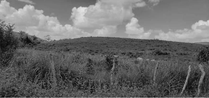 Foto 9 de 10: Area Rural em leilão em Porto Calvo - AL — IMÓVEL RURAL OBJETO DA MATRÍCULA 1.947 DO CARTÓRIO DE REGISTRO DE IMÓVEIS DA COMARCA PORTO CALVO/AL