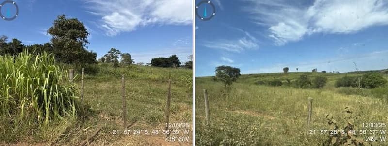 Foto 4 de 7: Area Rural em leilão em Arealva - SP — Uma gleba de terras com área de 126,6565 Há