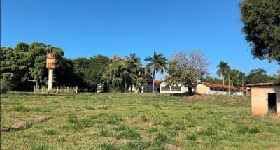 Area Rural em leilão em Itápolis - SP — Áreal rural de 50 hectares, com benfeitorias - Itápolis/SP