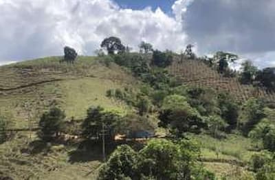 Foto 8 de 14: Area Rural em leilão em Caconde - SP — Sítio, A.T. 9,9500ha