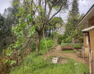 Foto 9 de 26: Area Rural em leilão em São João Do Triunfo - PR — IMÓVEL RURAL COM EXTENSÃO URBANA - ÁREA TOTAL DE 60.726,43 m²-AVENIDA DAS ARAUCÁRIAS-LADEIRA- SÃO JOÃO DO TRIUNFO-PR