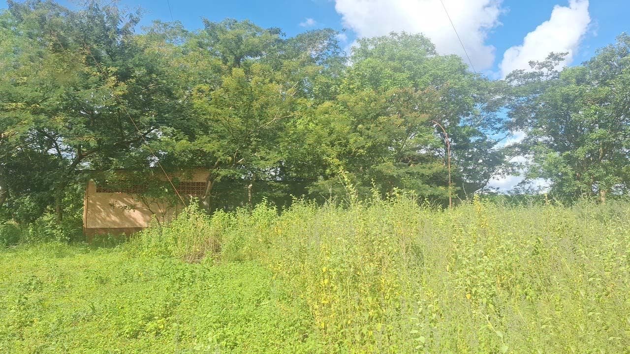 Foto 1 de 2: Terreno em leilão em Icém - SP — Terreno 3.622m² | Icém/SP | Estrada Boiadeira |