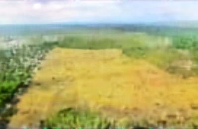 Area Rural em leilão em Santo Antônio Do Leverger - MT — Imóvel Rural, A.T. 381,3610ha, Fazenda Lagoa Bonita