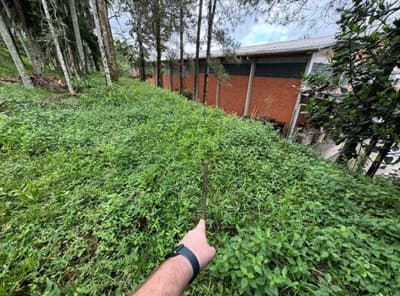 Foto 26 de 53: Terreno em leilão em Blumenau - SC — Terreno com área de 8.958m², bairro Salto Weissbach, Blumenau/SC