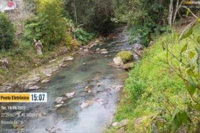 Foto 13 de 51: Terreno em leilão em Aurora - SC, bairro Área Rural — IMÓVEL RURAL COM ÁREA TOTAL DE 11,516 ha- Em AURORA/SC