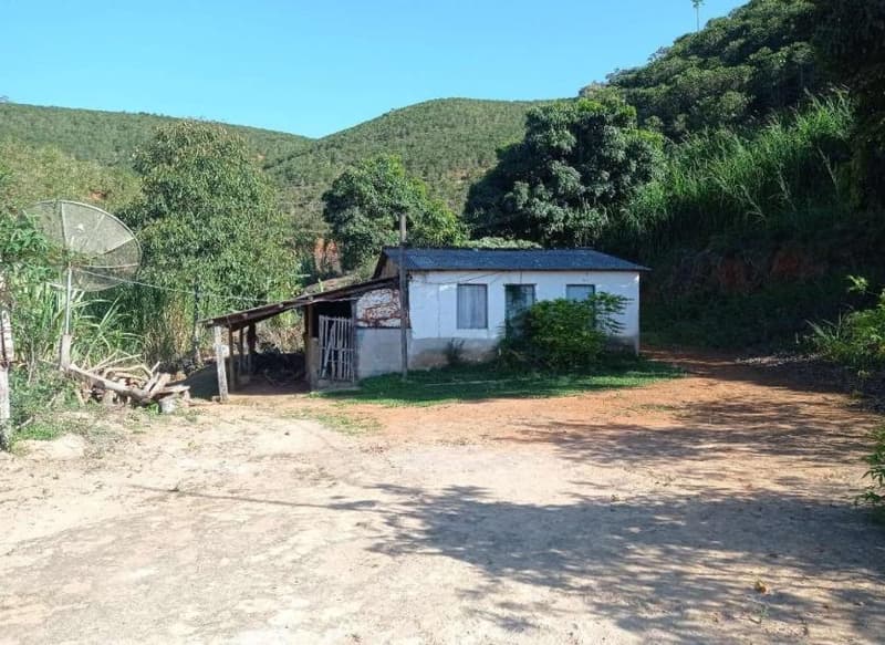 Foto 32 de 49: Area Rural em leilão em Caiana - MG — IMÓVEL RURAL COM ÁREA TOTAL DE 16,99,68 hectares- Em CAIANA/MG