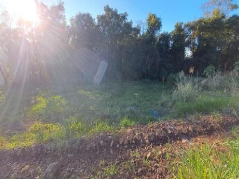 Foto 1 de 7: Terreno em leilão em Cordilheira Alta - SC, bairro Interior — Lote, 337.06 m2, Cordilheira Alta / SC