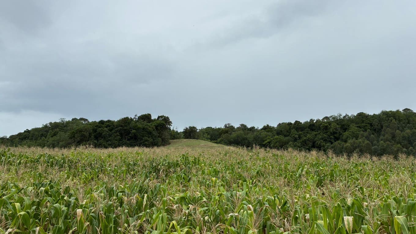 Foto 4 de 5: Area Rural em leilão em São José Do Inhacorá - RS — IMÓVEL RURAL COM ÁREA DE 9.00 HA EM SÃO JOSÉ DO INHACORÁ