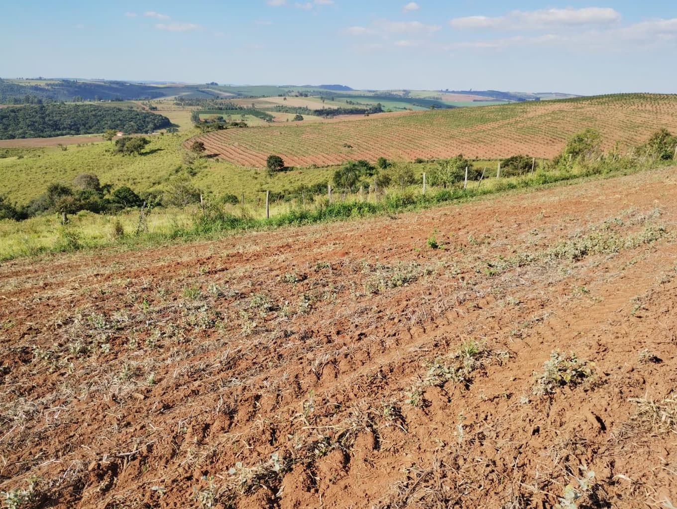 Foto 21 de 24: Area Rural em leilão em São Jerônimo Da Serra - PR — Área rural com área de 35,53 hectares - São Jerônimo da Serra/PR.
