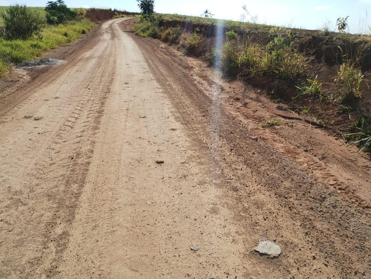 Foto 7 de 24: Area Rural em leilão em São Jerônimo Da Serra - PR — Área rural com área de 35,53 hectares - São Jerônimo da Serra/PR.