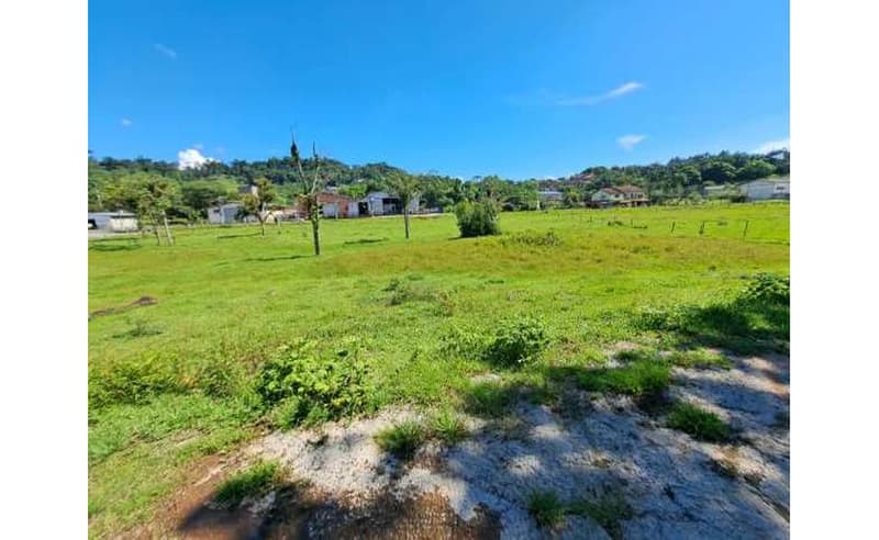 Foto 20 de 64: Terreno em leilão em Blumenau - SC — Um imóvel com área total de 102.114,74m² em Blumenau/SC