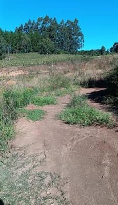 Foto 8 de 8: Area Rural em leilão em Fontoura Xavier - RS, bairro Interior — IMÓVEL RURAL (FRAÇÃO IDEAL) 39.790 m² EM FONTOURA XAVIER-RS