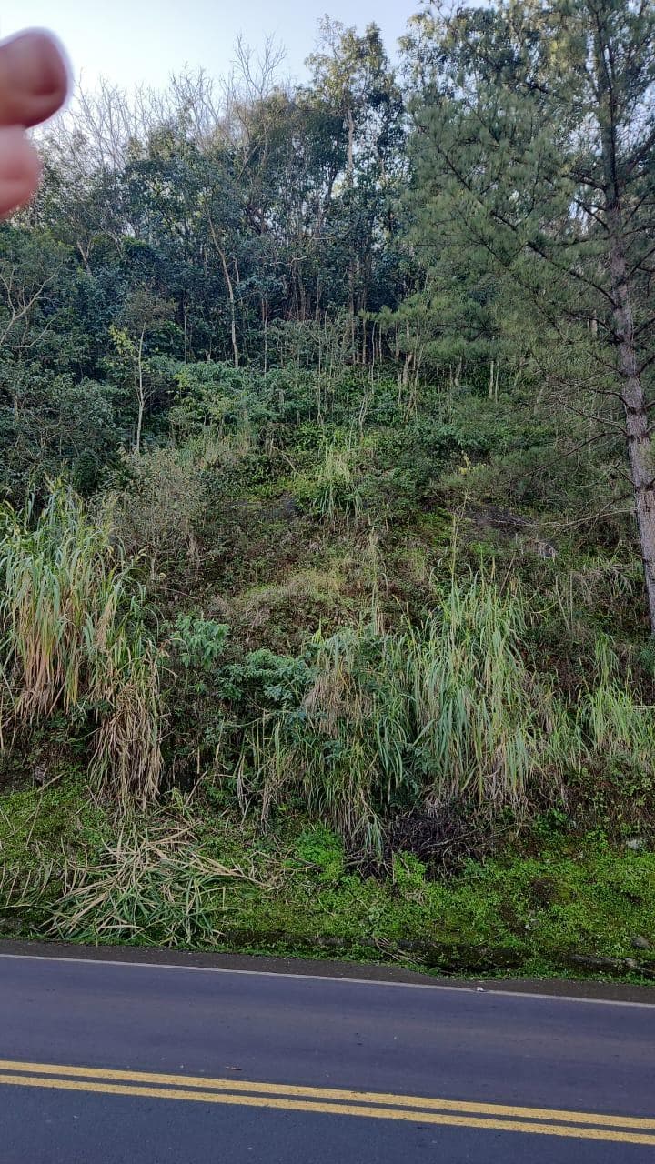 Foto 4 de 10: Terreno em leilão em Mondaí - SC — LOTE URBANO Nº 06 LOCALIZADO NA AVENIDA LAJU NO MUNICÍPIO DE MONDAÍ/SC - ÁREA DE 2.000M²
